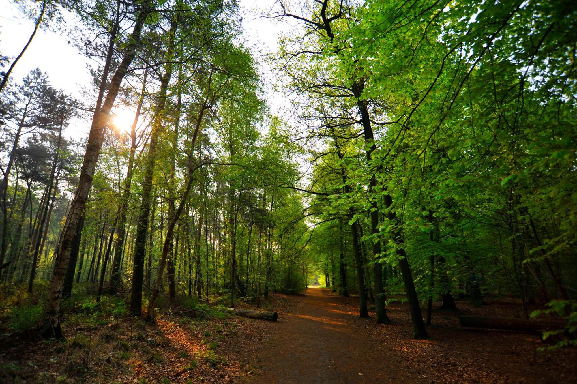 Parkhotel Mastbosch Breda Zewnętrze zdjęcie