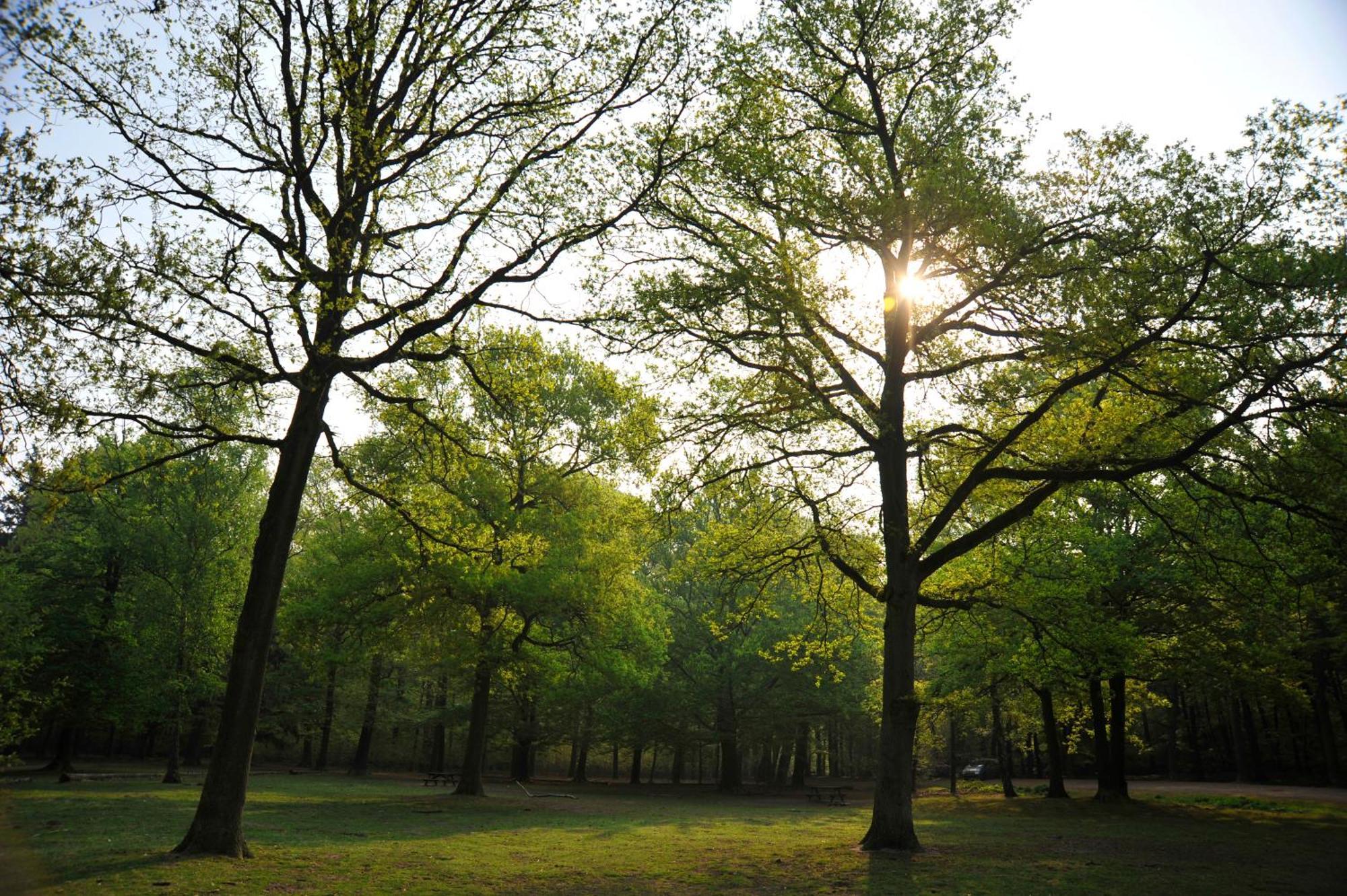 Parkhotel Mastbosch Breda Zewnętrze zdjęcie