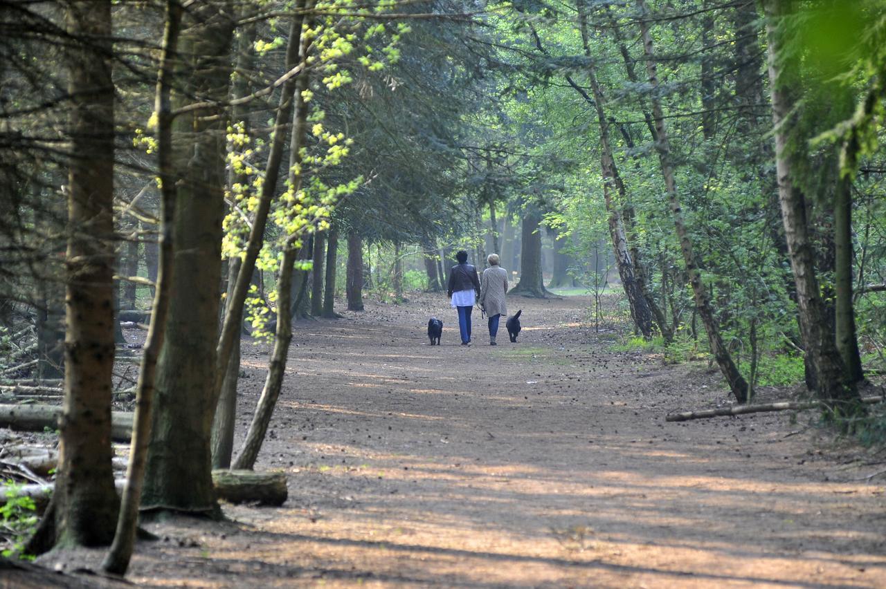 Parkhotel Mastbosch Breda Zewnętrze zdjęcie